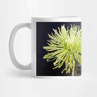 Spider chrysanthanum Mug